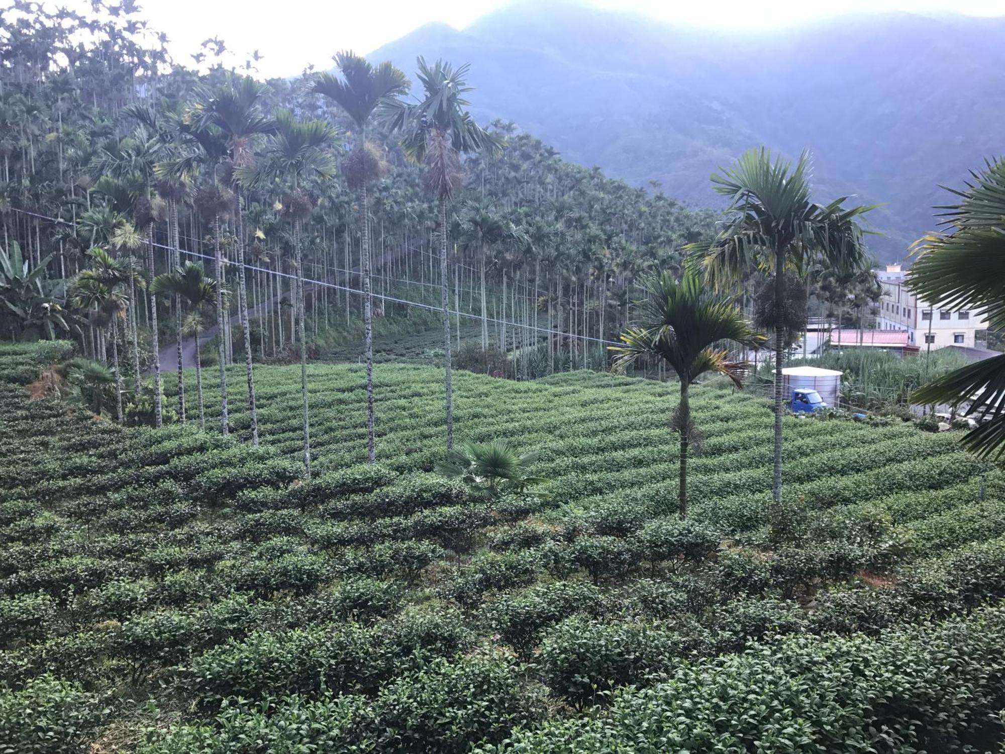 Apartamento De Ren Tea Gardens Meishan Exterior foto
