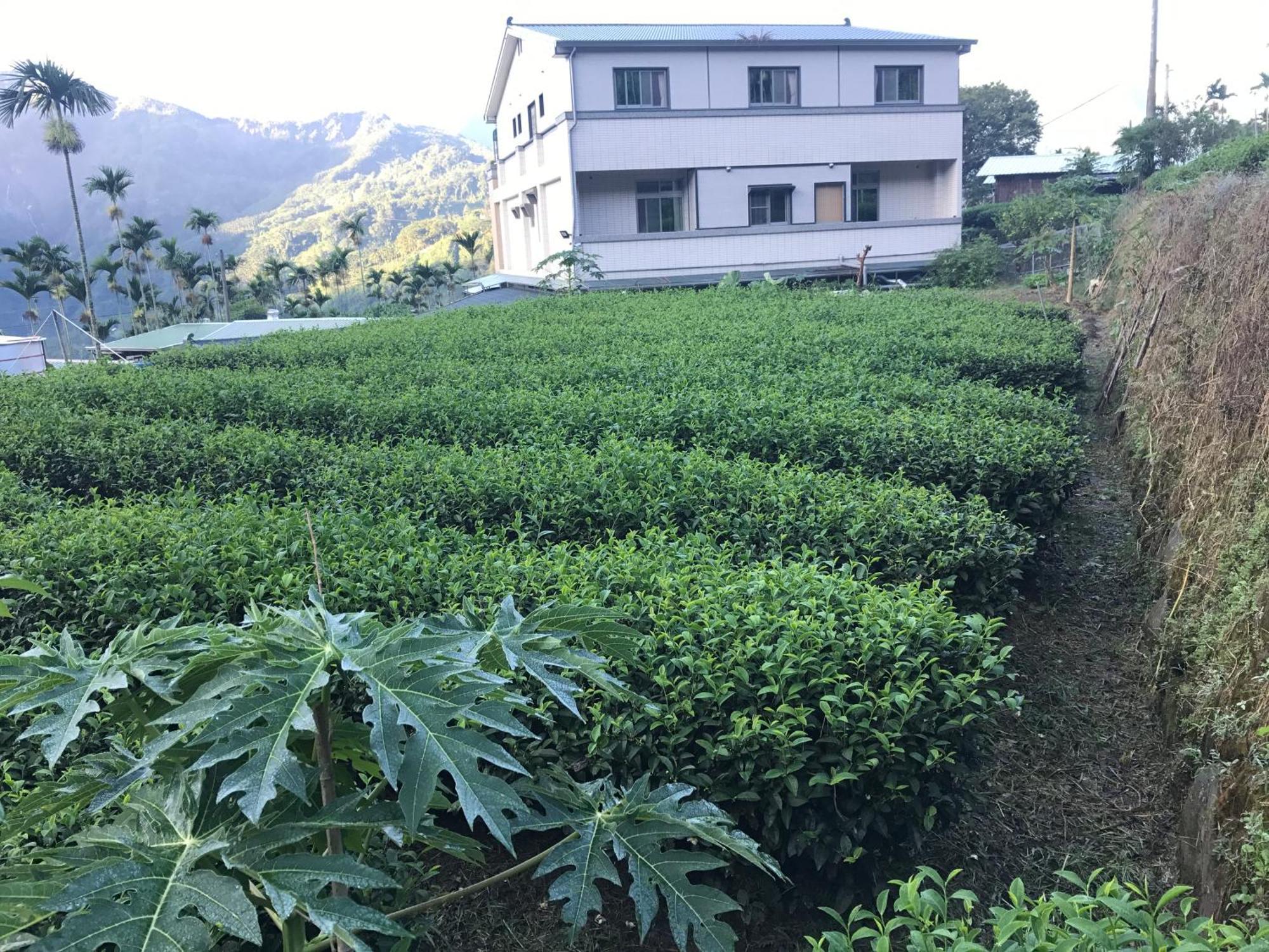 Apartamento De Ren Tea Gardens Meishan Exterior foto