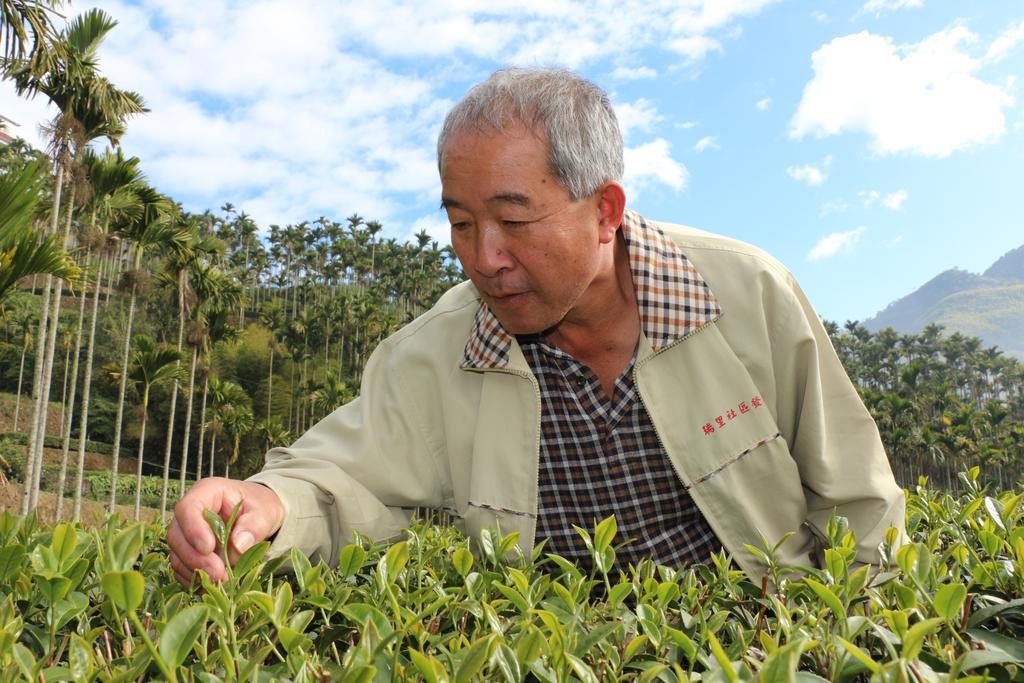 Apartamento De Ren Tea Gardens Meishan Exterior foto